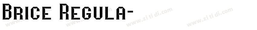 Brice Regula字体转换